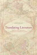 Translating Literature Cover
